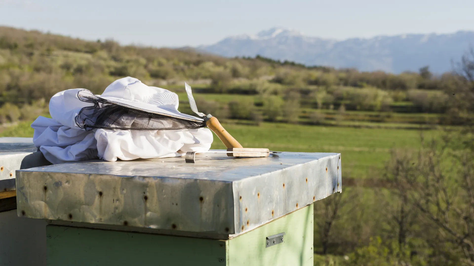 Detail Image